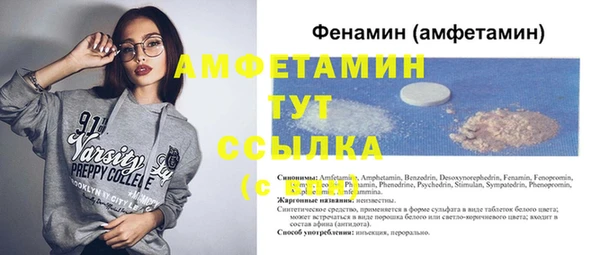 гашик Алексин