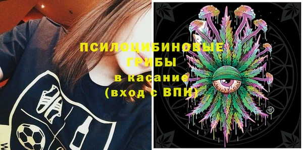 винт Снежногорск