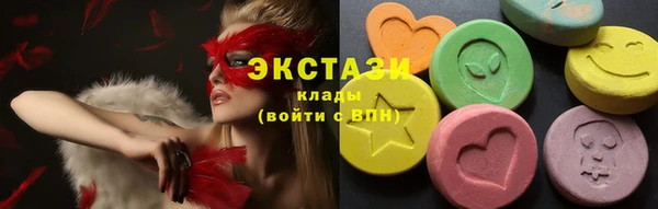 гашик Алексин