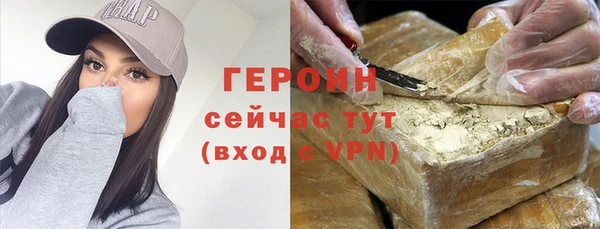 гашик Алексин
