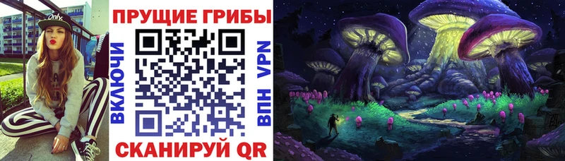 Галлюциногенные грибы MAGIC MUSHROOMS  купить закладку  Борзя 