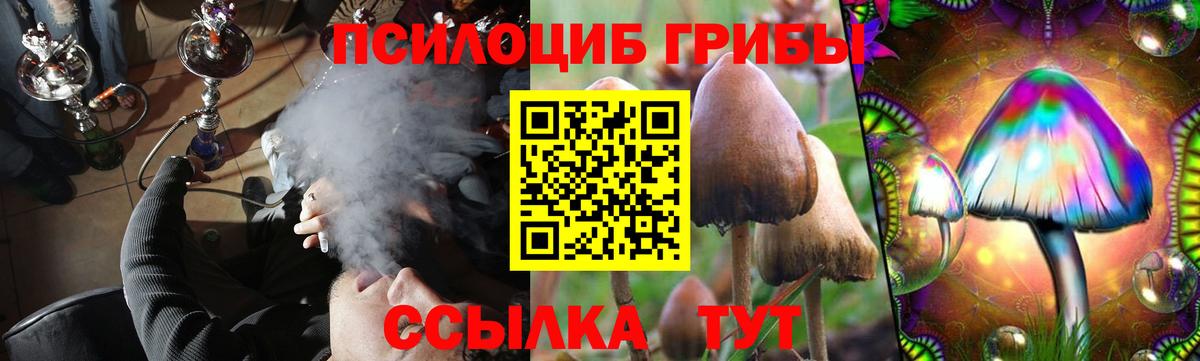 Псилоцибиновые грибы прущие грибы Борзя