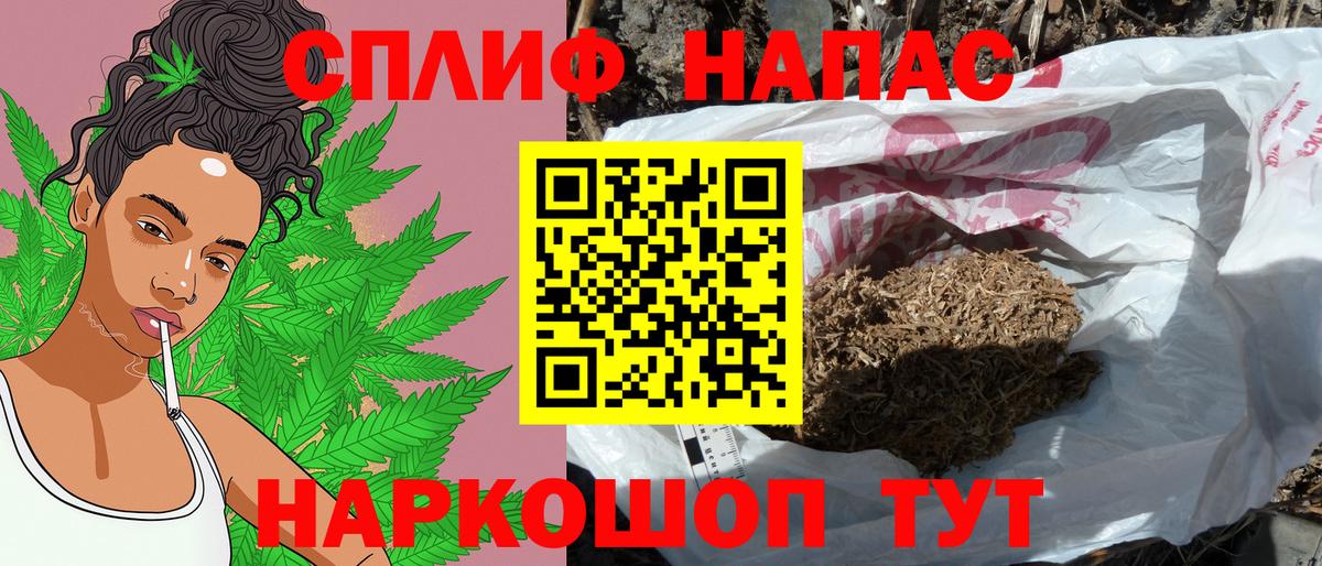 APVP Борзя
